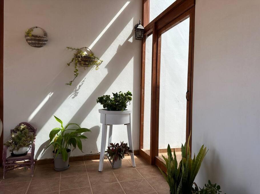 Private Villa With Pool In The Mountains Pajara  Ngoại thất bức ảnh